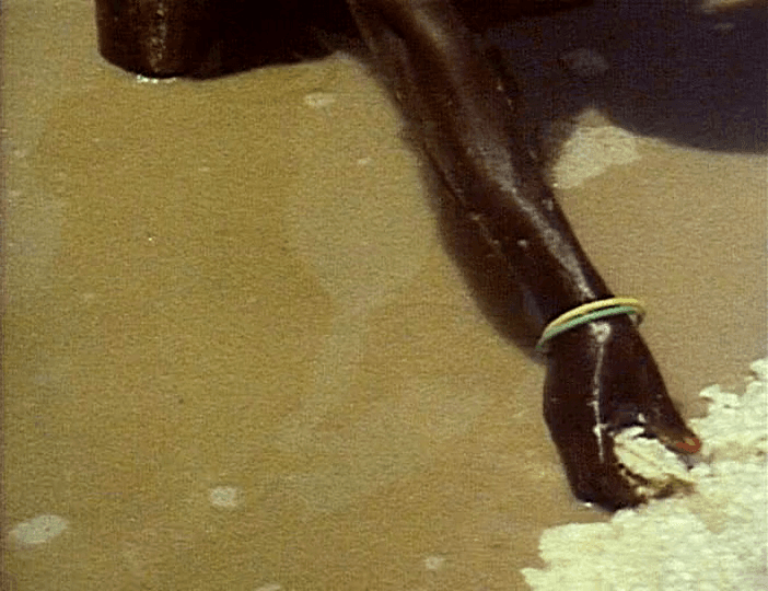 Selbe (1983)